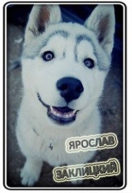Ярослав Заклицкий